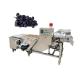 Blueberry Fruit Cleaning Machine Air Bubble Onion Bean Vegetable Washing Drying Line Sweet Potato Ozone Washing cleaner