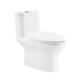 Ceramic One Piece Compact Elongated Toilet  0.8/1.2 Gpf Double Flush