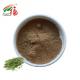 Antioxidant Rosemary Extract Powder Rosmarinic Acid HPLC For Food Additive