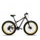 OEM 27 Speeds Boys 140cm 26 Inch Fat Tire Bike