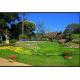 Green Landscaping Artificial Grass Good Standing High density And Cost Effective