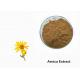 Arnica Plant Extract Powder