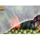 Vegetable Greenhouse Insect Net Agricultural Netting HDPE Materials White Color