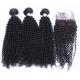 8A 9A 100% Unprocessed Virgin Kinky Curly Hair Bundles With Lace Closure