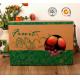 E-Flute Corrugated Cardboard Food Packaging Boxes , Fruit Gift Packaging Box