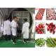 100 Kg/Batch Food Freeze Drying Machine Air Cooling Electric Heating