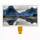 40 Pin 10.1 Inch LCD Display TFT LCD Screen Module 1204×600 LVDS Interface Wide View