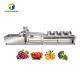 4.5KW Fruit And Vegetable Processing Line Vibration Draining Equipment