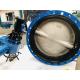 Bs Awwa Dn150 Flanged Soft Sealing Double Eccentric Flange Butterfly Valve