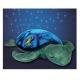 The fifth generation of Star Lamp-Sea turtle lamp