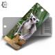 3d Cartoon Bookmark Lenticular Flip 2 Images Changed For Souvenirs & Gifts
