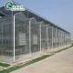 Venlo Galvanized Steel Pipe Greenhouse with Tower Garden and Optimal Shading System