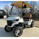 New Designed 2 Seat Electric Golf  Cart 4KW Four Wheeler Durable Electric Golf  Buggy