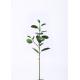 Ficus Microcarpa Artificial Tree Branches Minimal Care Hand Crafted Breathtakingly Real