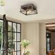 Used For Home/Hotel Hot Sale Nordic Style Black Iron Ceiling Light