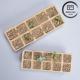 10 & 12 Cell Biodegradable Seed Starter Trays for Efficient Nursery Plant Growth