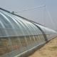 Arched Roof Multispan Hydroponics Plastic Film Agricultural Greenhouse for Commercial Farm