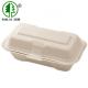 Plant Fiber White Bagasse Clamshell Box Biodegradable Microwavable Food Containers