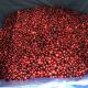 Rich Vitamin C 100% Frozen IQF Sweet Wild and Cultivated IQF Frozen Lingonberry/Cowberry