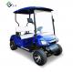 Customized Blue Electric LSV Lithium Ion Golf Cart 2 Passenger