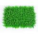Sports Golf Backyard 100 Oz Thick Artificial Grass Carpet Mat