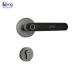 NFC Card Smart Door Knob S607L Intelligent Tuya Bluetooth Fingerprint Door Handle