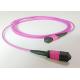 Purple OM4 MPO Patch Cable 40G / 100G Protocols For Telecommunication Network