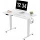 Wood Style Electric Lifting Desk 1000x600mm Height Adjustable Standing Desk with Hook