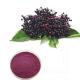 Black Elderberry Extract With 25% Anthocyanidins for Immune Support