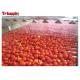 1500KG / H tomato paste processing machine with tomato paste package machine glass bottle
