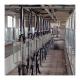 Cow 60 points Herringbone Milking Parlor Automatic Clean