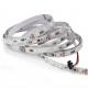 WS2811 Digital Led Light Strip SK6812 SMD5050 Color Changeable LED