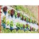 Agriculture Nonwoven Garden Weed Control Sheet / Landscape Fabric Ground Cover