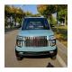 Small SUV EV Jeep Electric Cars for Adult The Perfect Combination of Style and Function