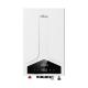 Affordable Balanced Flue Gas Water Heater 220V-240V/50Hz 80W for Business
