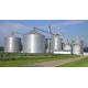 Assembly Steel Silo Bin Grain Corn Grain Storage for Food Beverage Factory