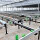 Growing System Rolling Greenhouse Tables Adjustable Shuttle Bench System Agriculture Movable Bench