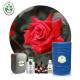 Cas 8007 01 0 Manufacture Wholesale Price Rose Essential Oil For Cosmetics Rose