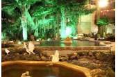 Travel in the goldly green holiday village of hot spring of Beijing  Beijing of China