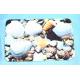 Polyester Antislip decorative bathroom water absorbent rugs for Home , Hotel