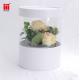 128-210Gsm C2S Paperboard Flower Bouquet Gift Box With PVC Window