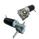 Automatic Dc Door Opener Motor 12v 24v with Worm Planetary Gearbox for Door Gates Automation Opening Lifting and Sliding