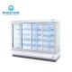 Single Temperature Glass Display Freezer Customized Capacity For C - Store