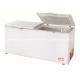 Single Temperature Smart Chest Deep Freezer Flexible Eco Friendly