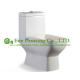 Sanitary ware One Piece Toilet Dual Flush Ceramic Wc Toilet with Siphon Flushing