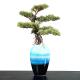 Height 60cm Welcoming Pine Green Artificial Plant Desk Decor