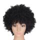 Short Hair Curly Wavy Wig for Black Ladies Machine Made Remy Hair Pixie Wig