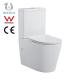 Glazed Trapway Ceramic Toilet Bowl Floor Mounted Water Closet Standard Slow Down Seat