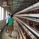 90-160 Chickens Battery Chicken Cage With 3-4 Layers Ventilation System