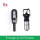 Explosion Proof Rig-A-Light Exit Sign Class 1 DIV 2/ Zone 1 &２１